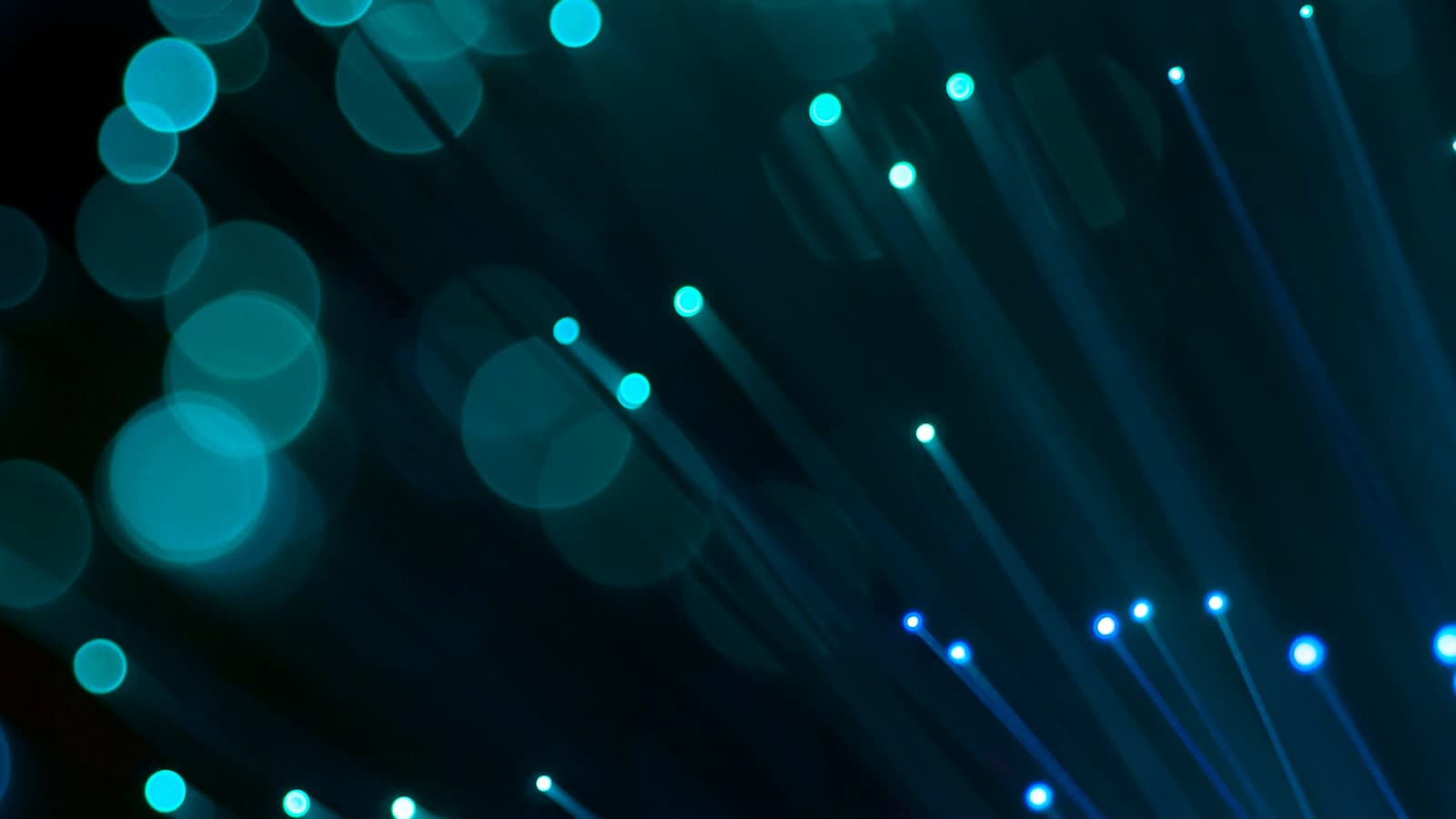 Close-up of glowing fibre-optic strands